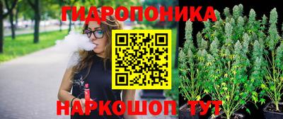 эйфоретик Бузулук