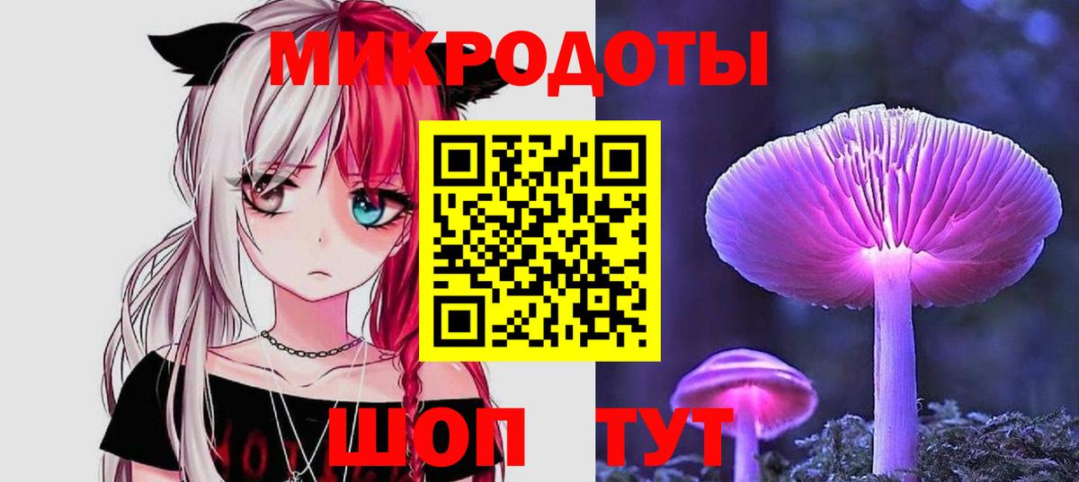 Галлюциногенные грибы Psilocybe Приморско-Ахтарск