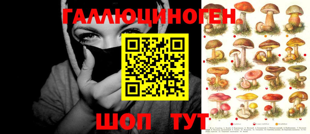 Приморско-Ахтарск  наркотики  Галлюциногенные грибы GOLDEN TEACHER  Вход с VPN  Галлюциногенные грибы мухоморы 